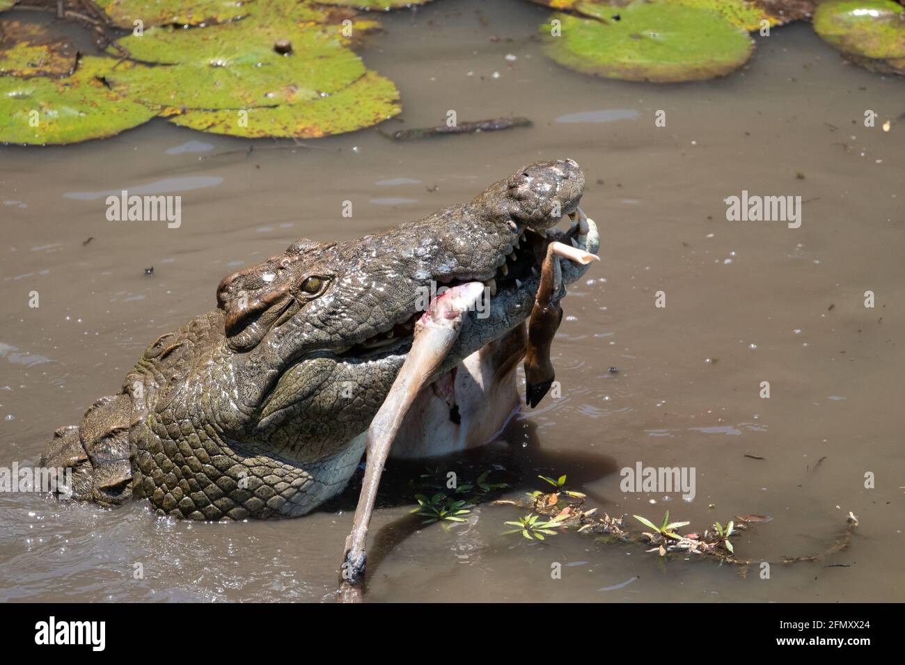The Sabie River is one of the most biodiverse rivers in Africa. SOUTH