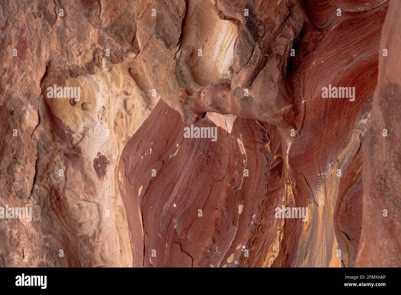 Multicolored redrose sandstone with signs of weathering and erosion, patterns and textures of