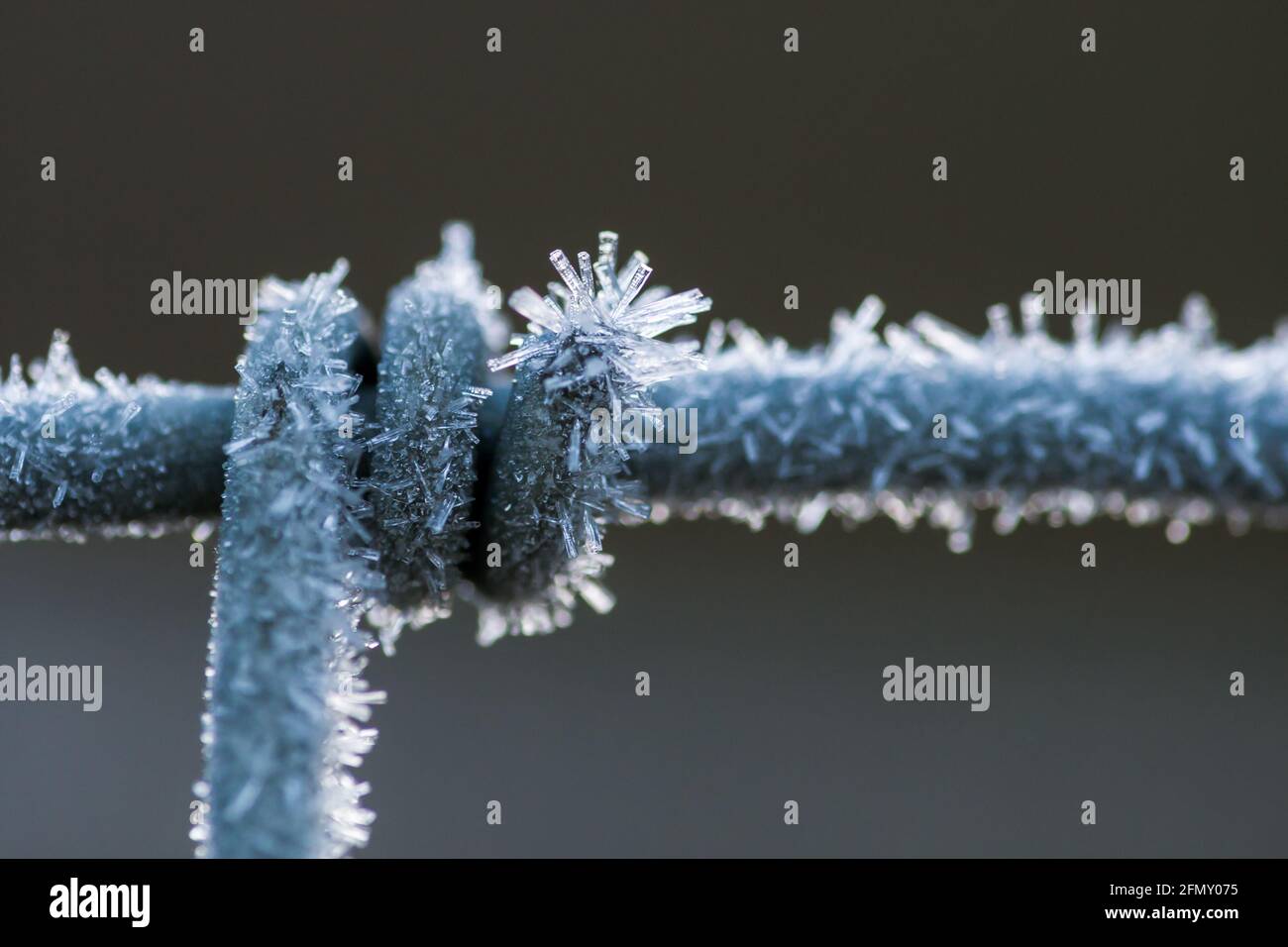 Ice crystals on the twisted wire of a fence Stock Photo