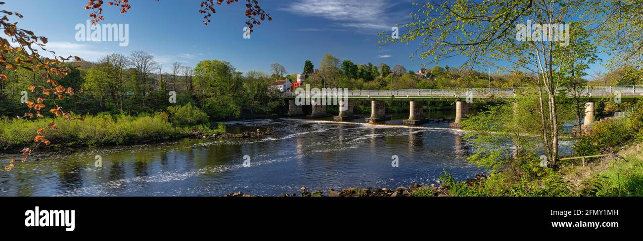 Early morning view looking across the River Tyne at Wylam in Northumberland, England, United Kingdom Stock Photo