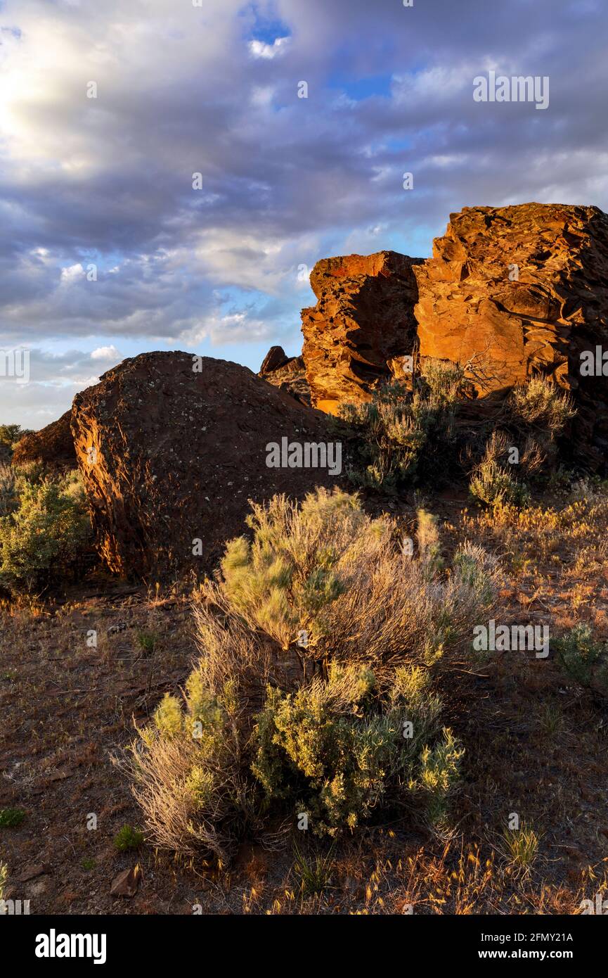 WA20218-00......WASHINGTON - Rock formations in Frenchman Coulee near Vantage. Stock Photo