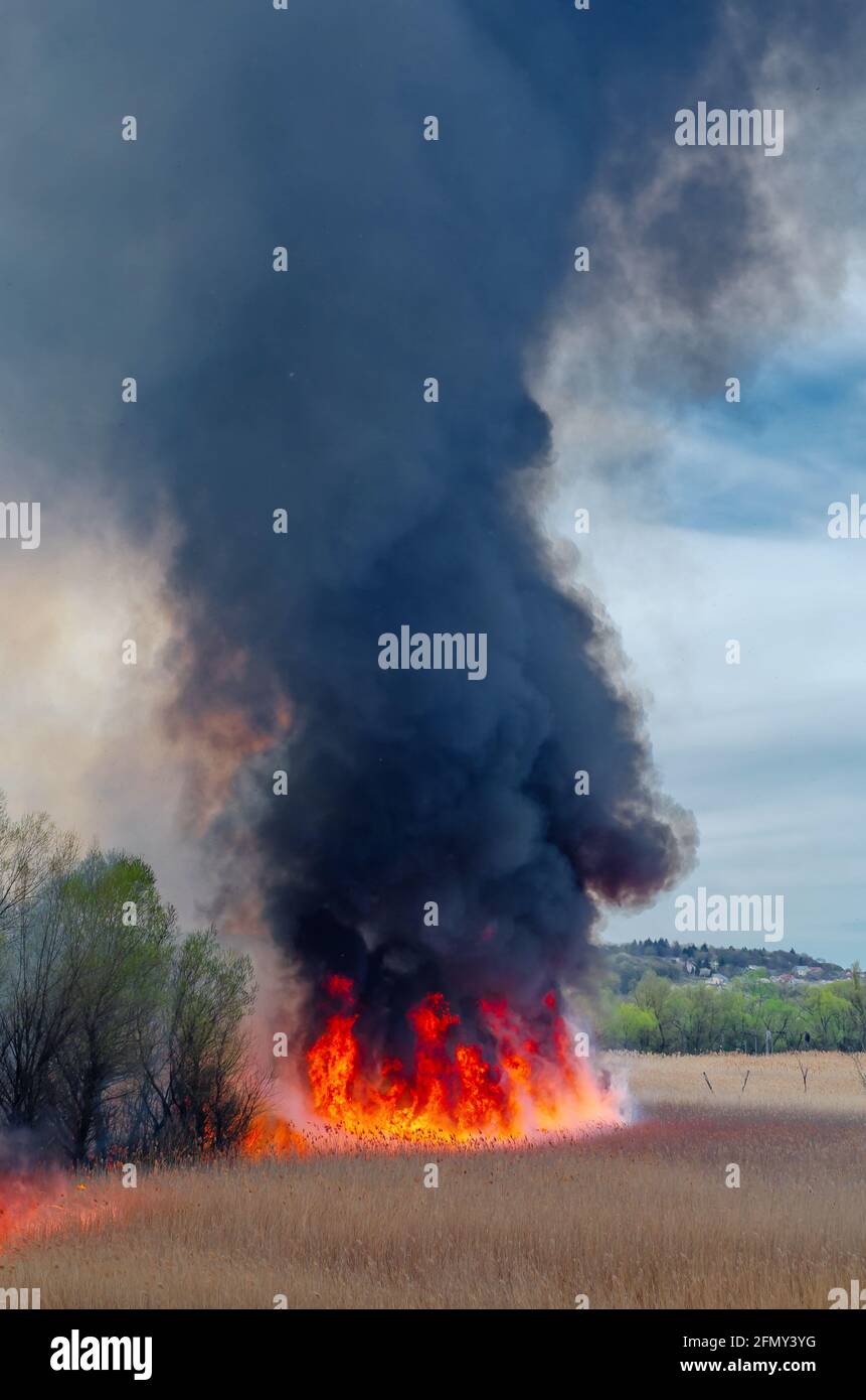 Huge Black Smoke Cloud From Fire Stock Photo, Picture and Royalty Free  Image. Image 104290370.