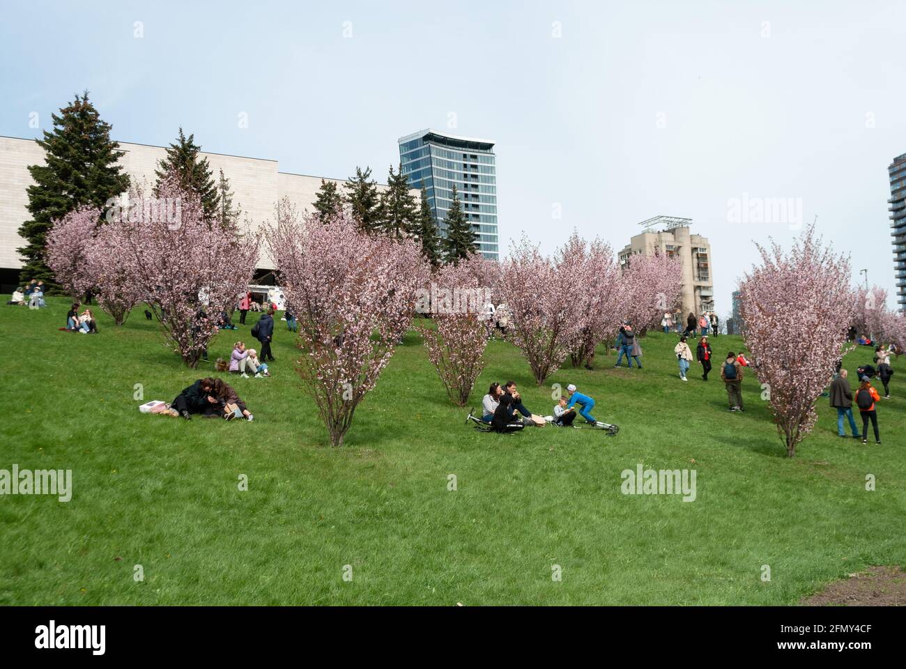 People relax in a park with flowering trees in the spring in Vilnius Stock Photo