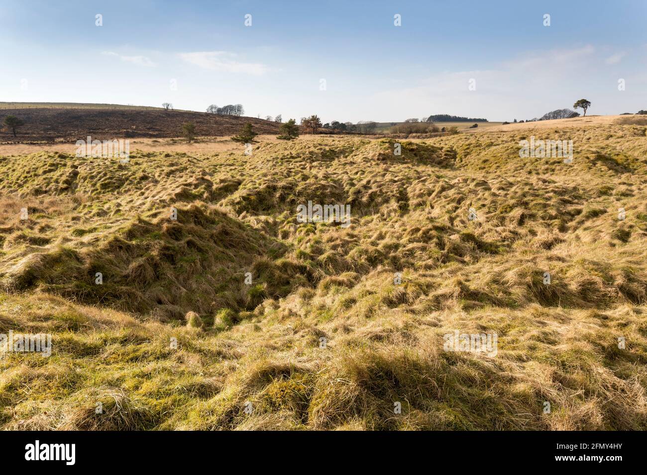 Ground disturbed by old mining operations, the Mineries, Somerset, Mendip, UK Stock Photo