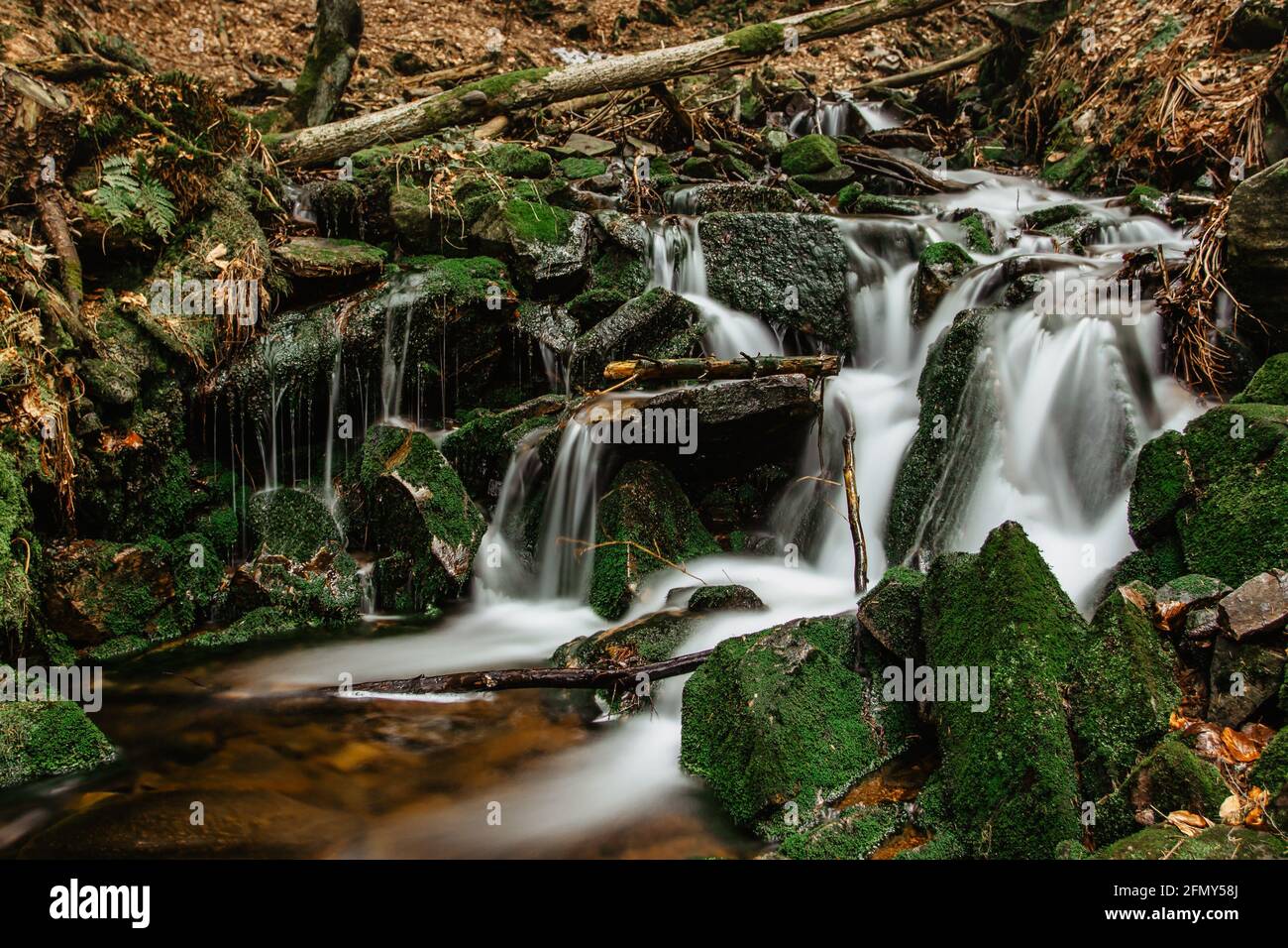 Cascades of small river stream in Orlicke Mountains,Czech republic. Long exposure water.Fresh spring mountain scenery.Untouched Czech nature.Motion Stock Photo