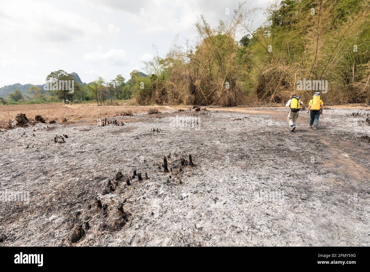 Slash and burn land clearance for farming in the area of Nong Ping village, Laos Stock Photo