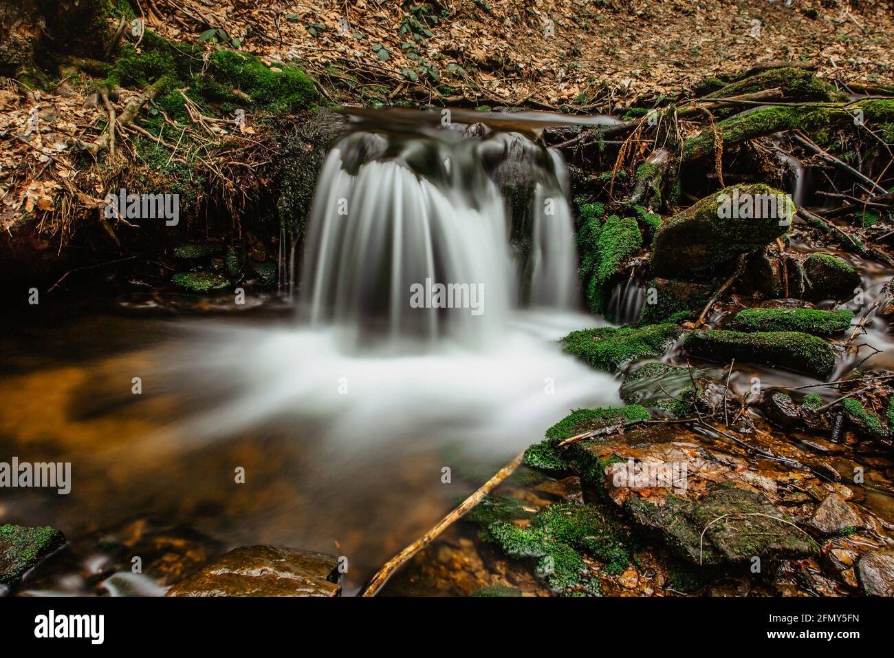 Cascades of small river stream in Orlicke Mountains,Czech republic. Long exposure water.Fresh spring mountain scenery.Untouched Czech nature.Motion Stock Photo