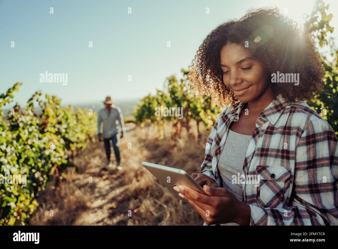 Mixed race female farmer smiling working in vineyards researching about vines on digital tablet with he help of male colleague Stock Photo