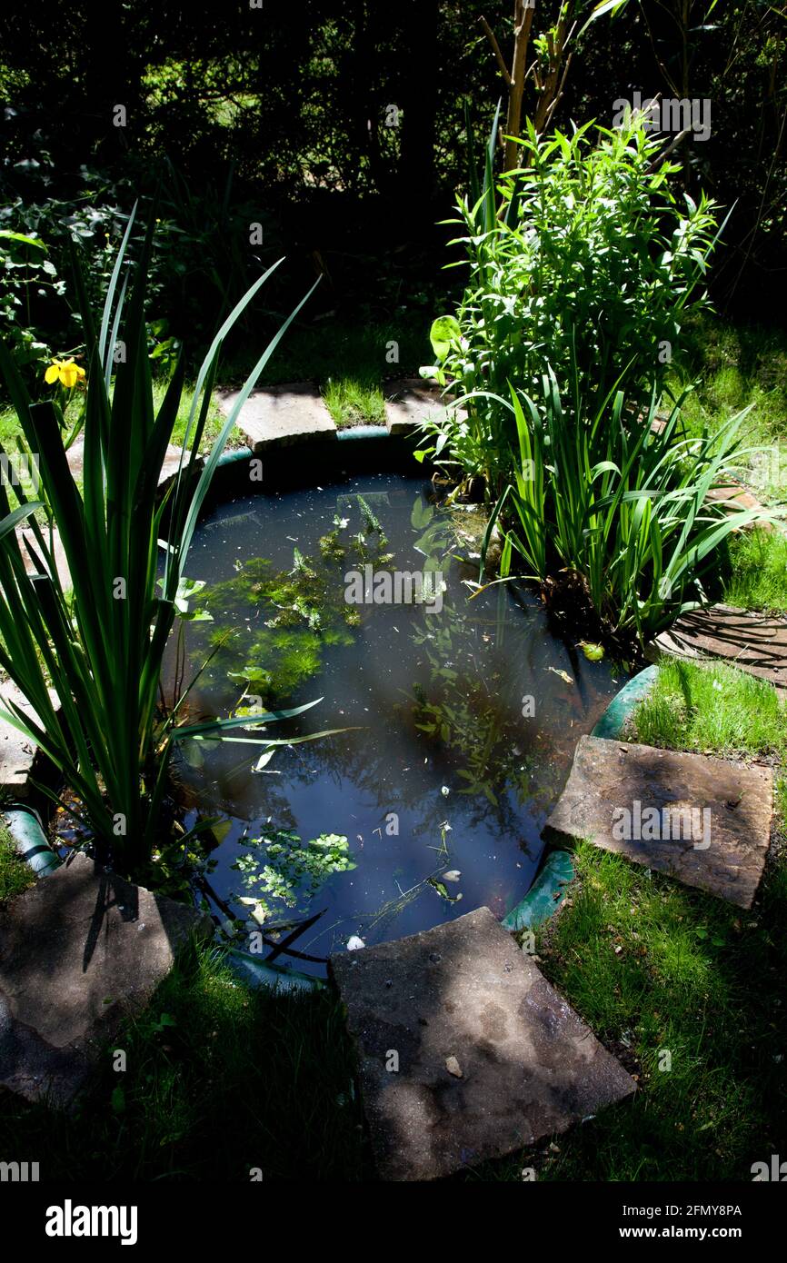 Small water feature garden hi-res stock photography and images - Alamy