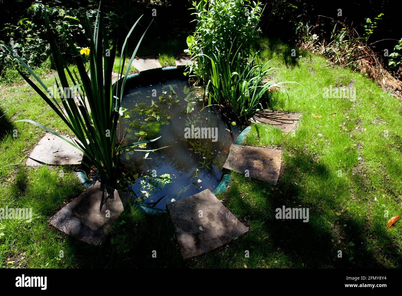 Small water feature garden hi-res stock photography and images - Alamy
