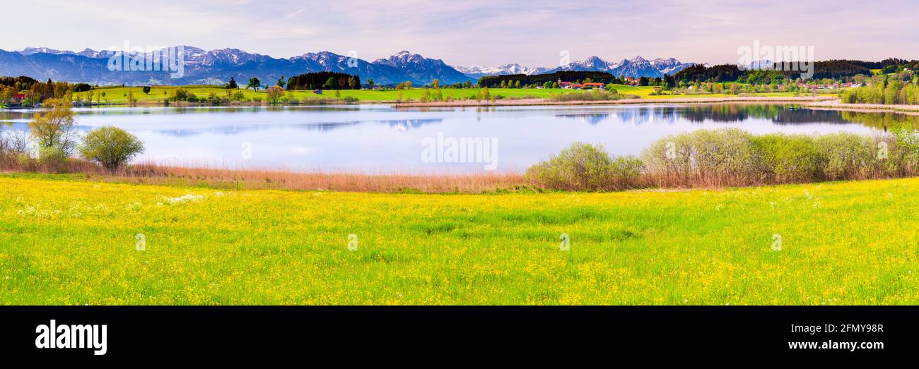 panoramic landscape with alps mountain range at springtime Stock Photo