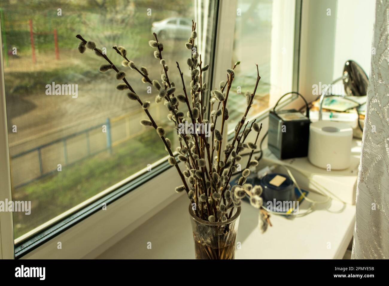 Willow branches in a vase on the windowsill. The photo was taken in Chelyabinsk, Russia. Stock Photo