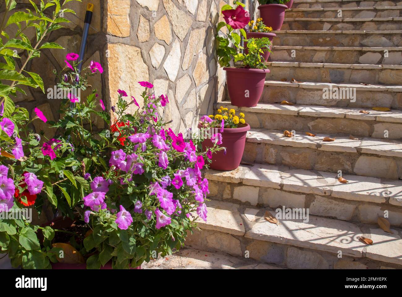 Stone stairs in Greece with flowers. Summertime concept Stock Photo