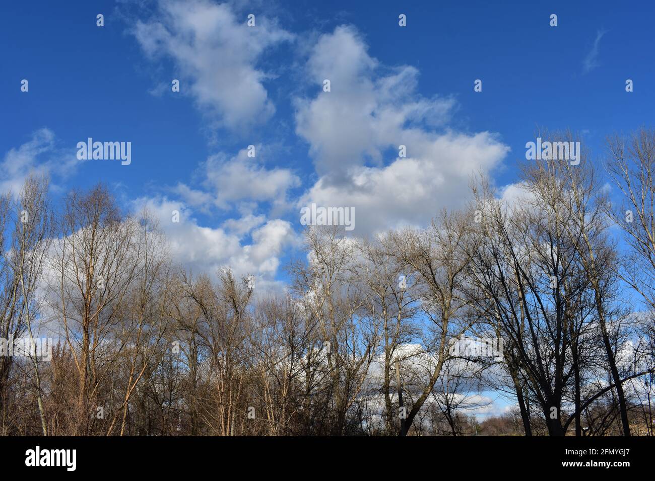 Clouds over the forest Stock Photo - Alamy