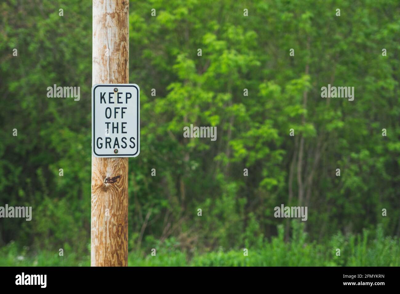 Keep off the grass sign with beautiful greenery in the background Stock ...