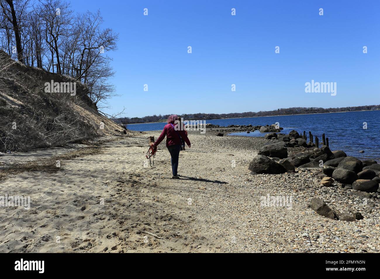 Woman walking dog on beach Port Jefferson Long Island New York 
