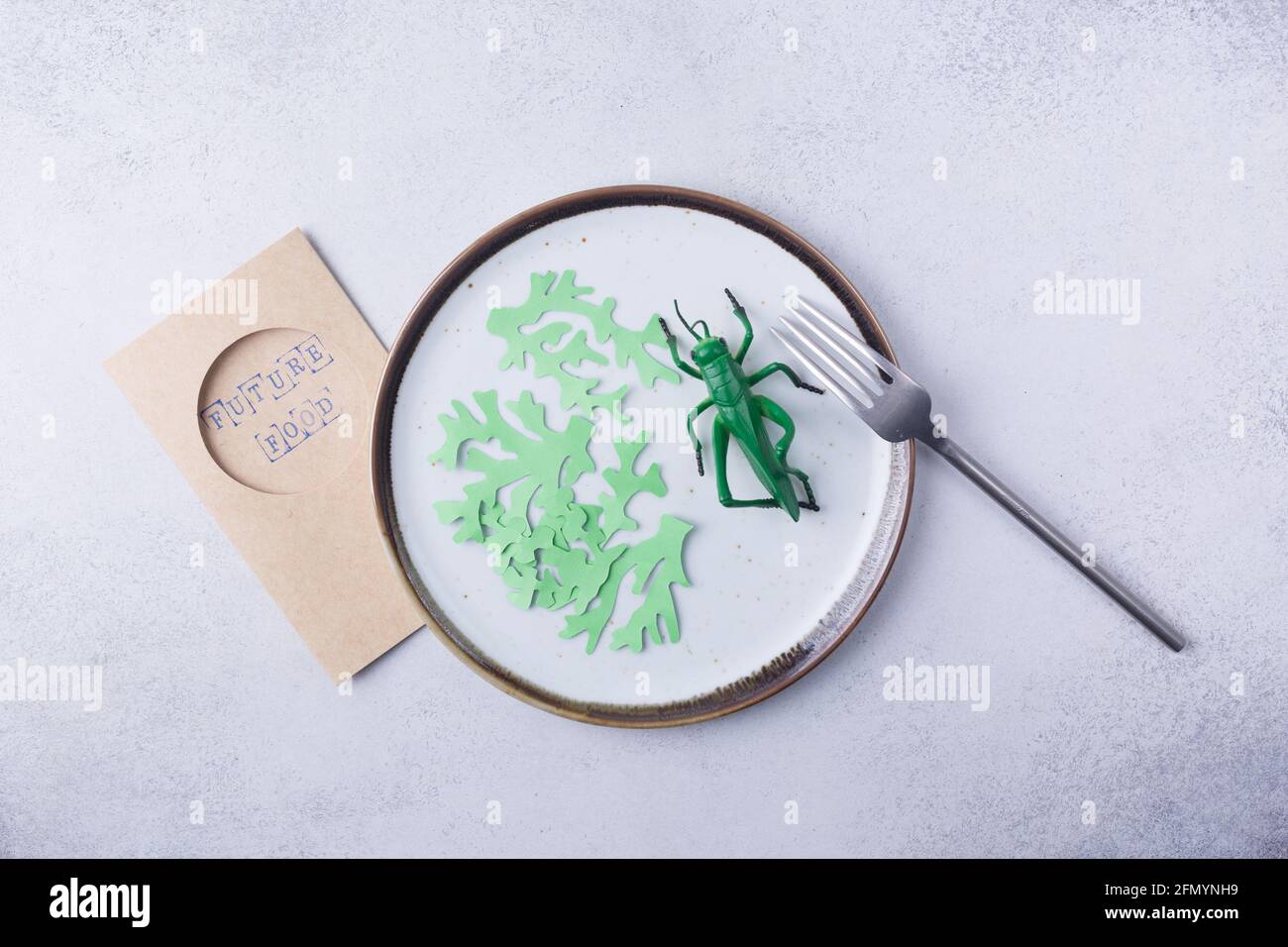 Eating crickets insect and seaweed on plate. Food Insects for eat as