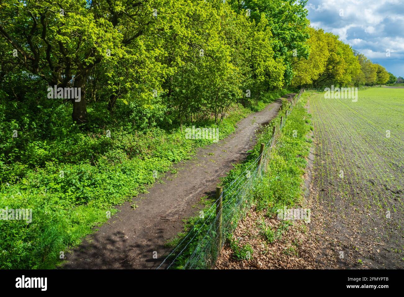 Rainford linear path hi-res stock photography and images - Alamy