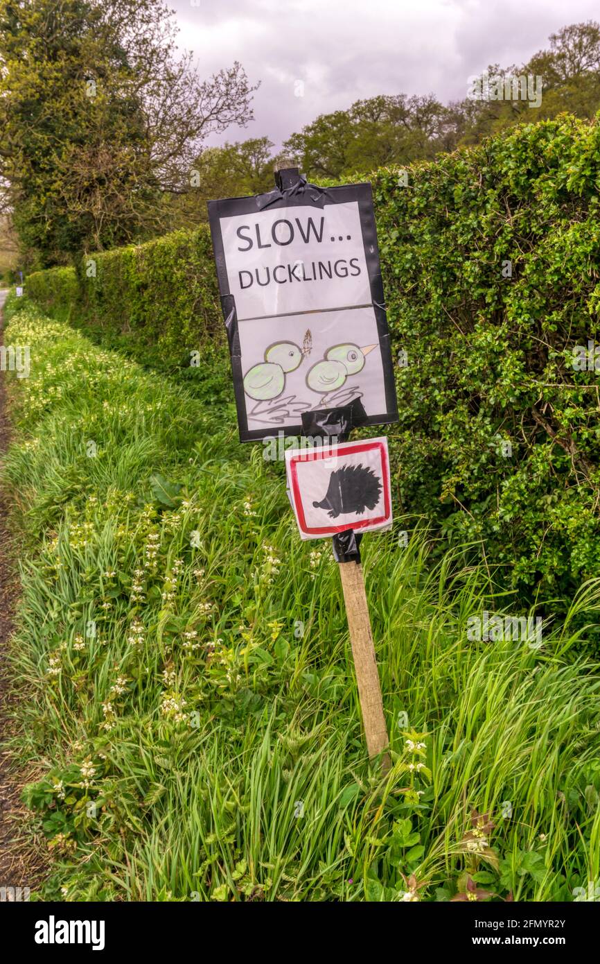 Slow hedgehogs sign hi-res stock photography and images - Alamy