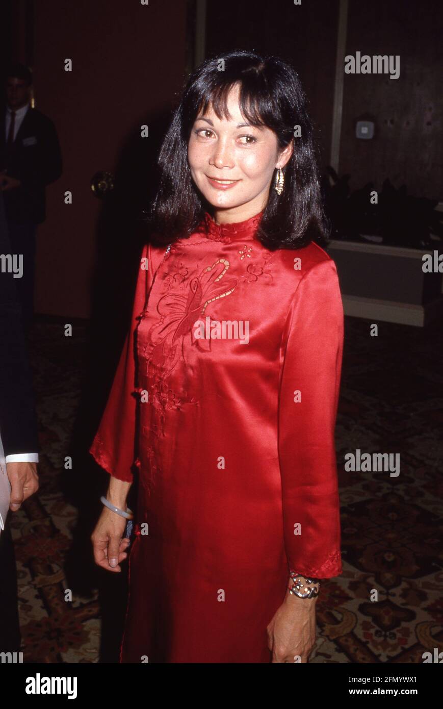 HOLLYWOOD, CA - MARCH 18: Actress Nancy Kwan attends the First Annual Association of Asian/Pacific American Artists' (AAPAA) Media Awards on March 18, 1985 at The Palace in Hollywood, California.  Credit: Ralph Dominguez/MediaPunch Stock Photo