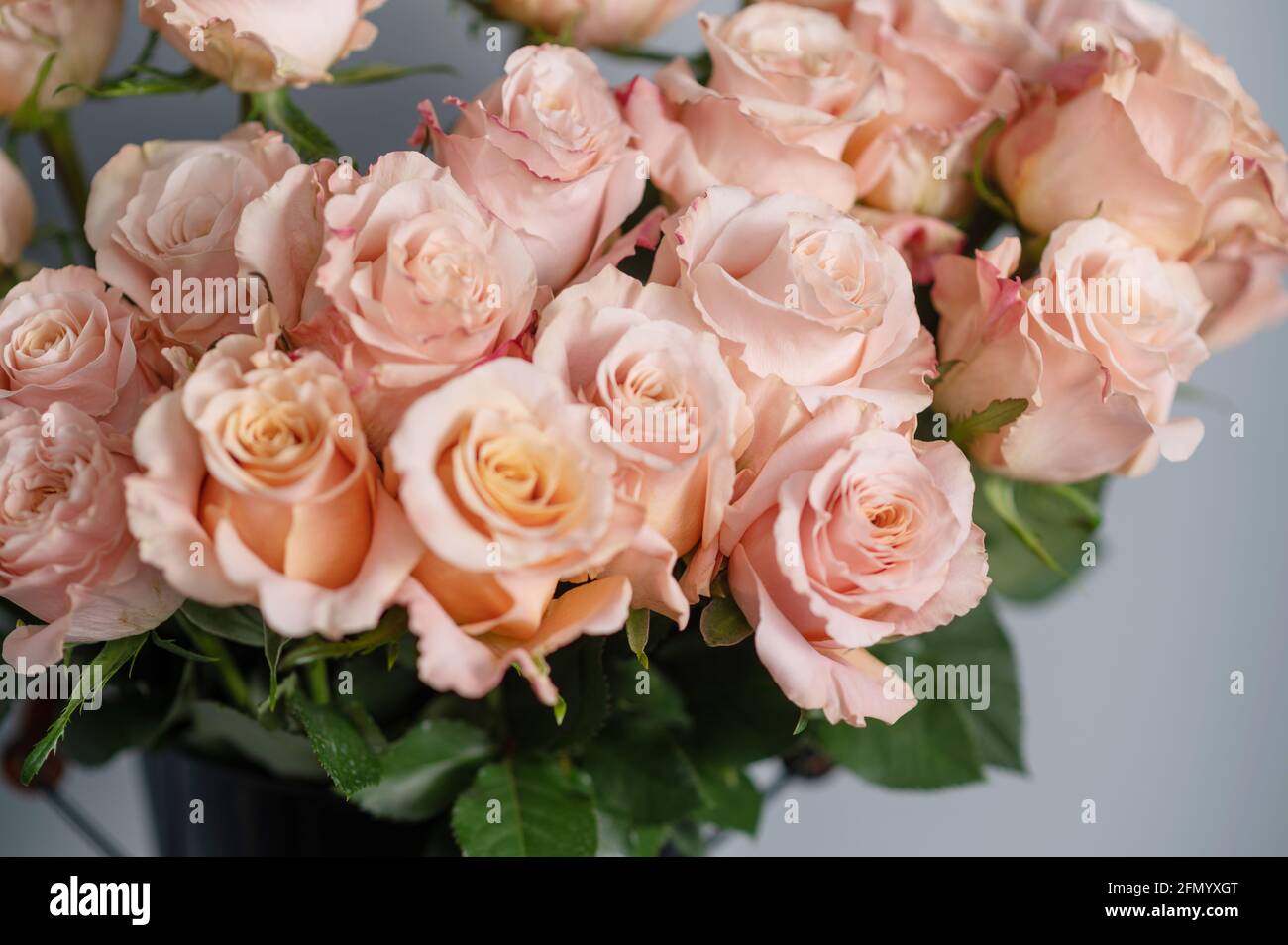 Spray roses hi-res stock photography and images - Alamy