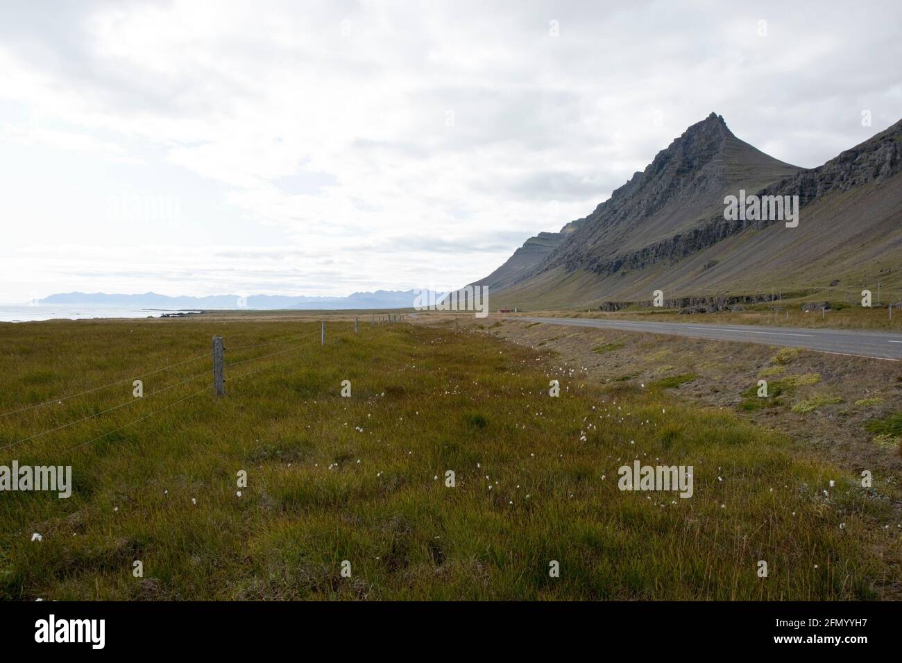 Mountains and pasture near the black sand beach at Fauskasandur in east Iceland. Stock Photo