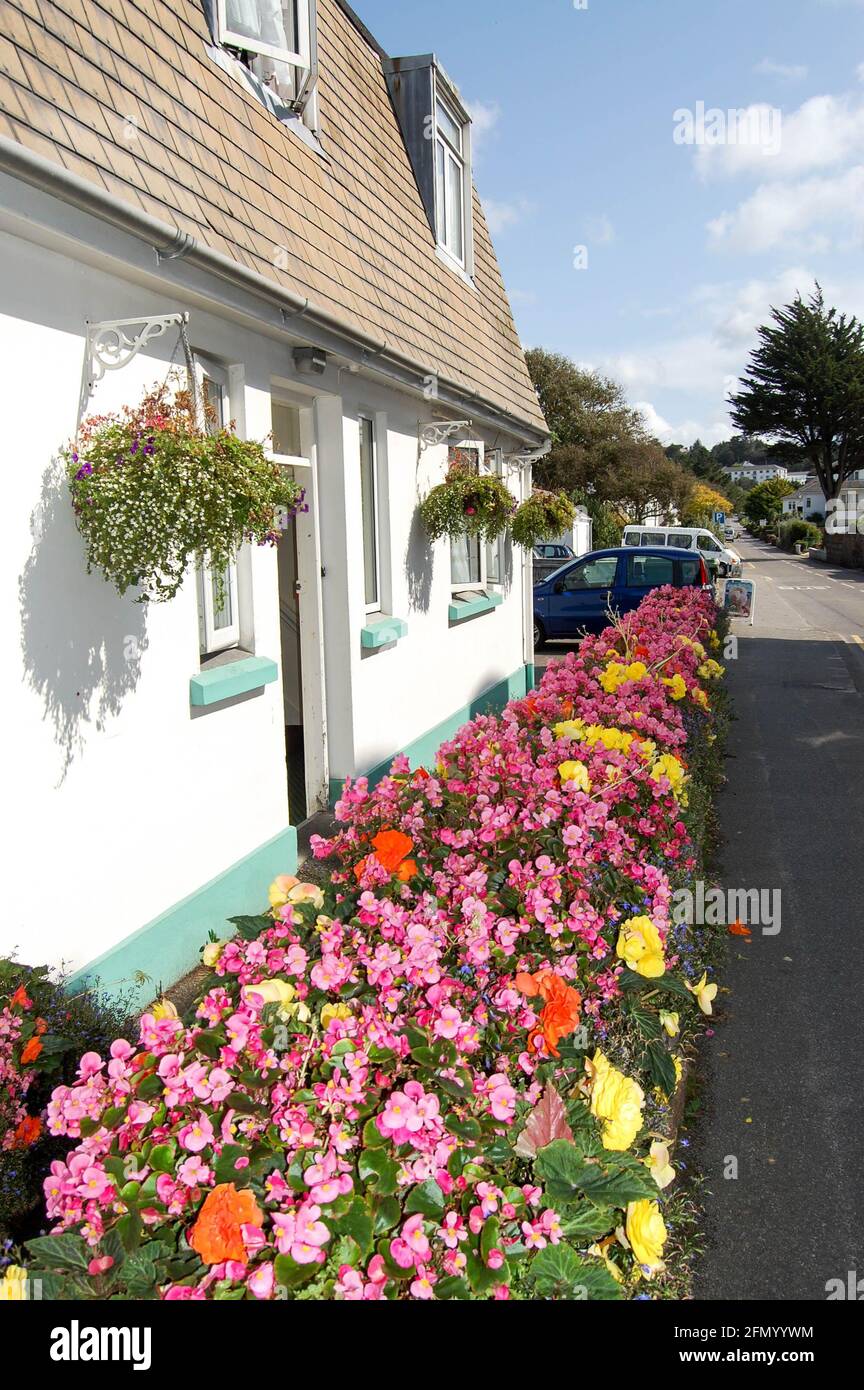 pink flowers in hanging baskets on side of house Jersey channel islands