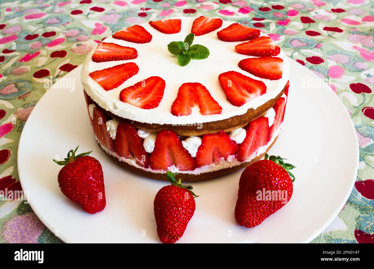 Diplomat cake or Charlotte Cake with strwaberries and lady fingers in baking  pan on a wooden table with pink background Stock Photo - Alamy