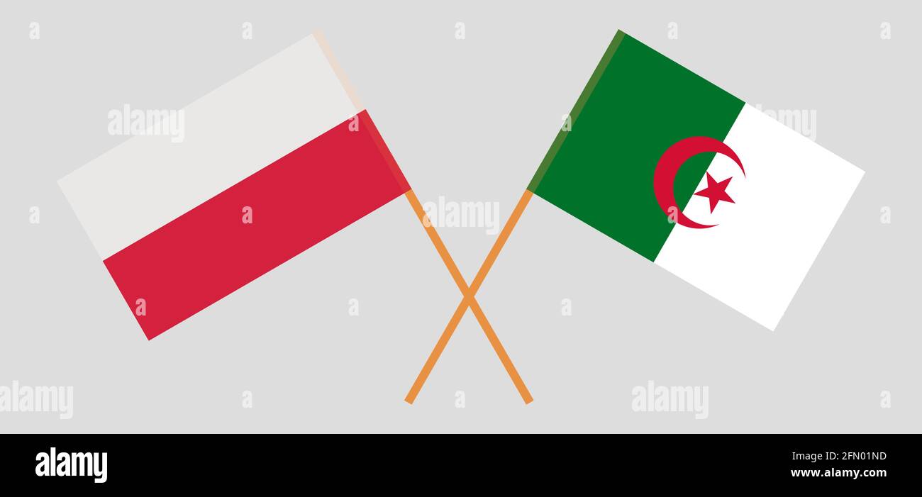 Crossed flags of Algeria and Poland. Official colors. Correct proportion. Vector illustration Stock Vector