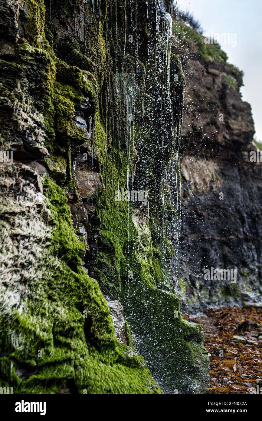 Kimmeridge Bay fossil hunting, Dorset, UK Stock Photo