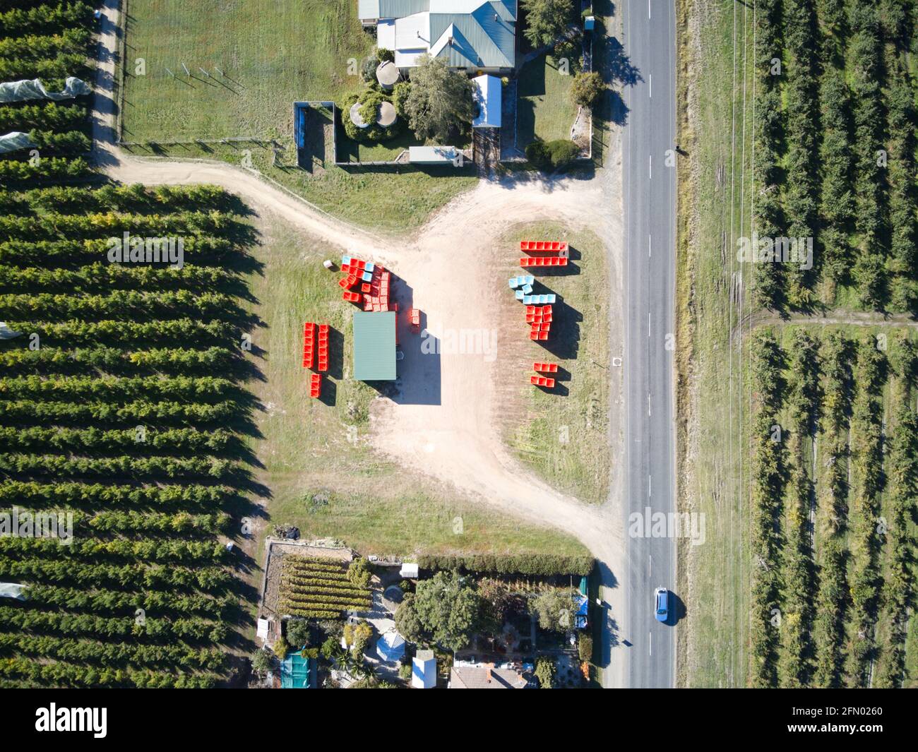 Apple farm aerial view showing apple harvesting using tractor, apple