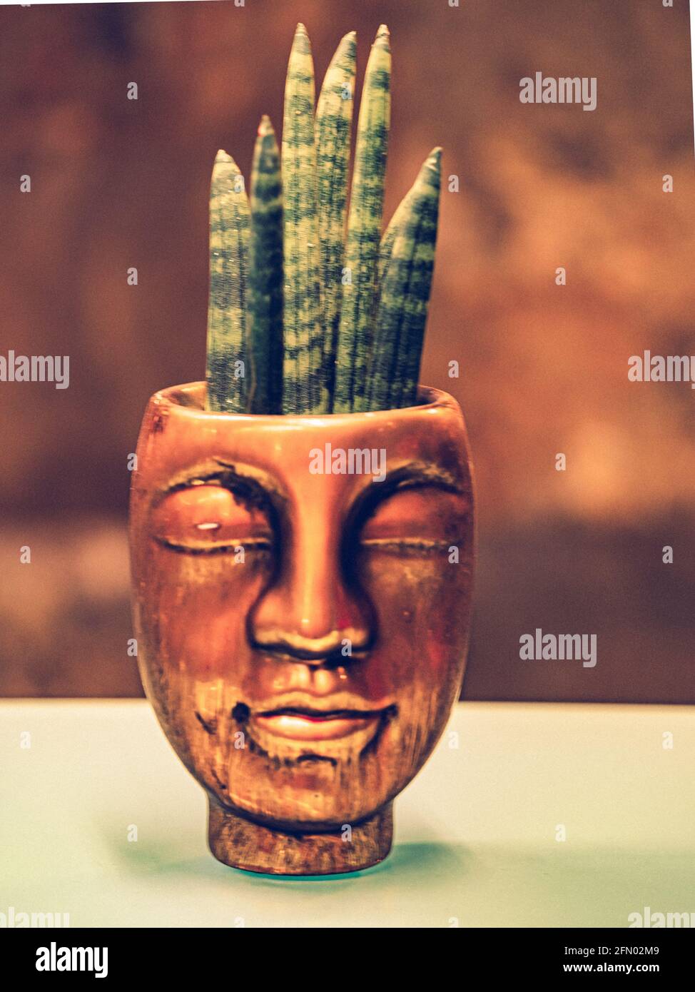 Vertical shot of green snake plants in a face-shaped vase Stock Photo