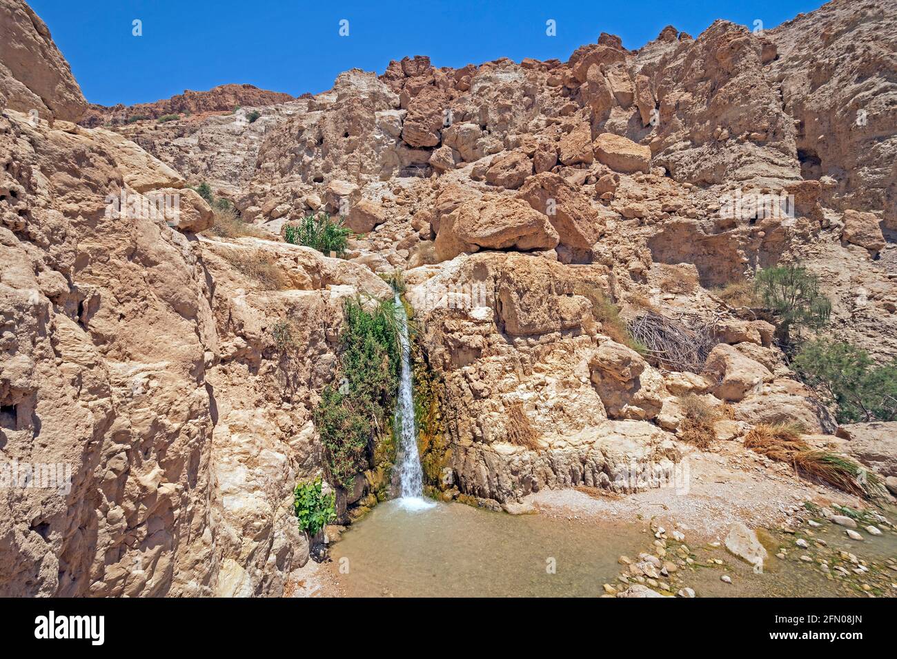 Waterfall in the Desert Summer at Ein Gedi Reserve in Israel Stock Photo