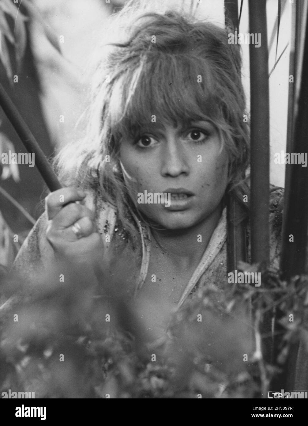 The Land That Time 1975, Film Stock Photo Alamy