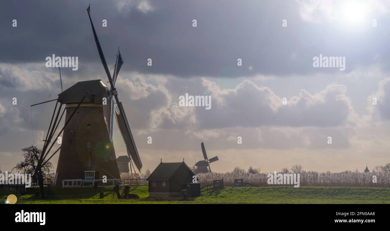 Windmill Holland or Nederland Kinderdijk a UNESCO World Heritage Stock Photo