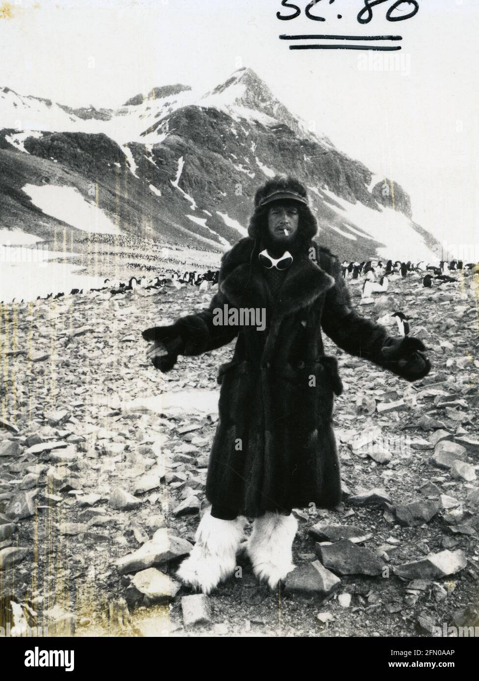 Mr Forbush and the Penguins, 1971, Film Stock Photo - Alamy