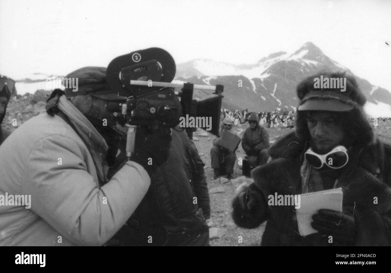 Mr Forbush and the Penguins, 1971, Film Stock Photo - Alamy