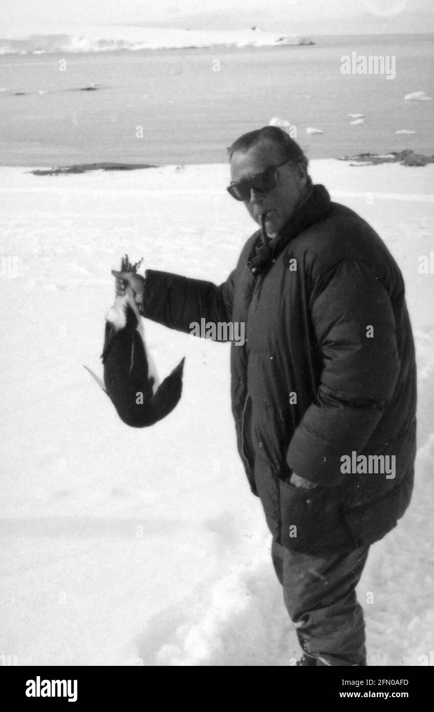 Mr Forbush and the Penguins, 1971 Film Stock Photo - Alamy