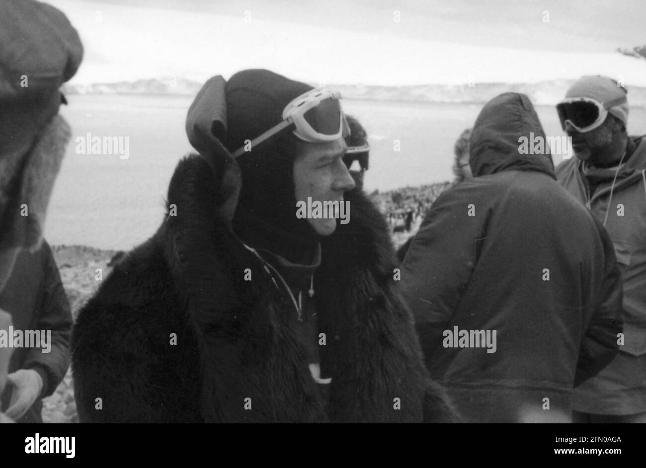Mr Forbush and the Penguins, 1971 Film Stock Photo - Alamy