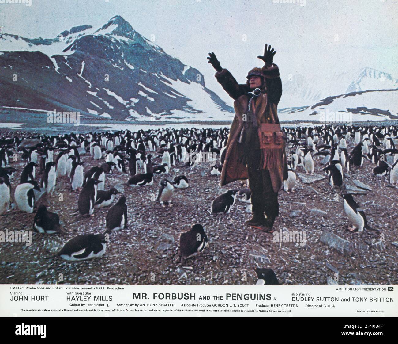 Mr Forbush and the Penguins, 1971 Film Stock Photo - Alamy