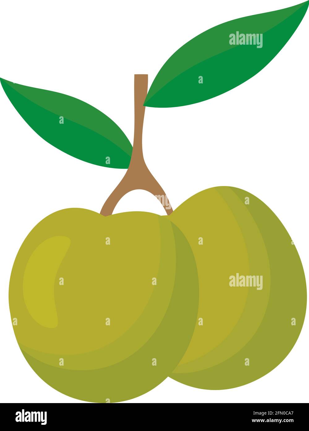 olive branch with two olives Stock Vector Image & Art - Alamy