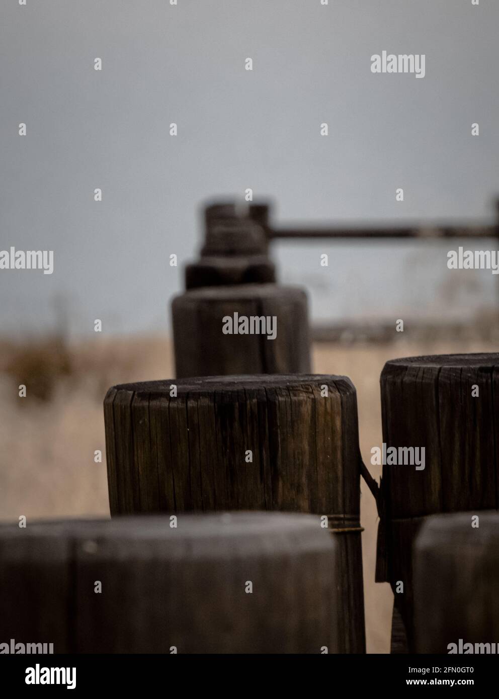 Vertical shot of wooden fences in a meadow covered in the grass with a ...