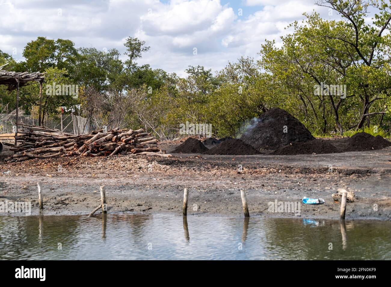 Mangrove in the South Coast of Cuba Stock Photo