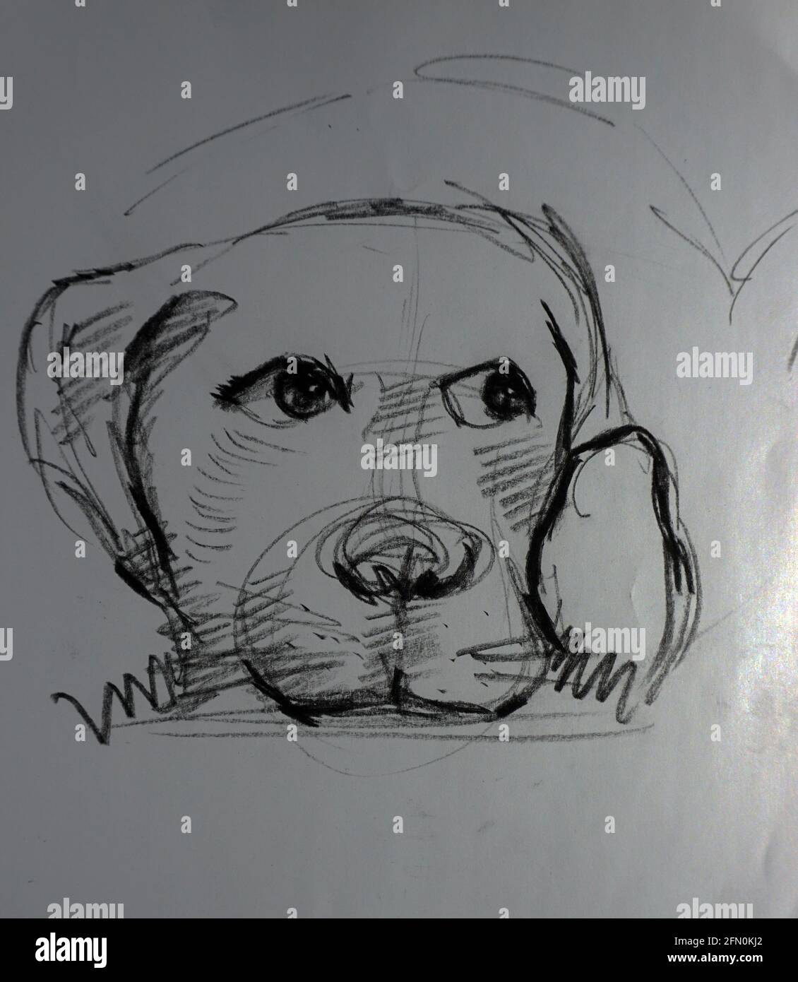 Art ,Drawing ,Fine art ,Sketch ,Outline, Cute, Dog Stock Photo