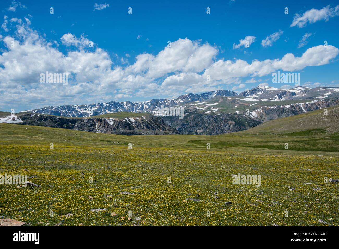 An overlooking view of nature in Custer National Forest, Montana Stock ...