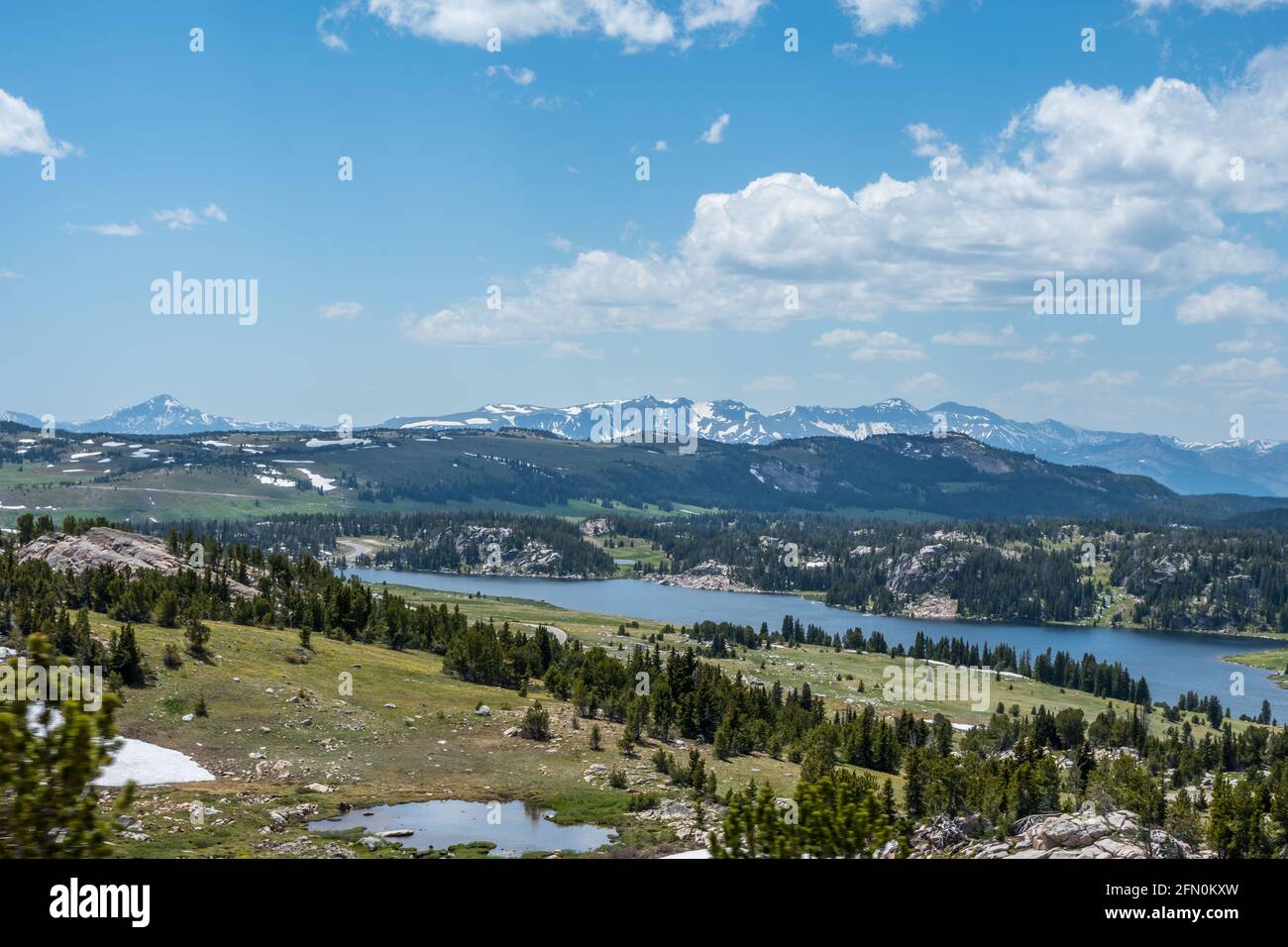 An overlooking view of nature in Custer National Forest, Montana Stock