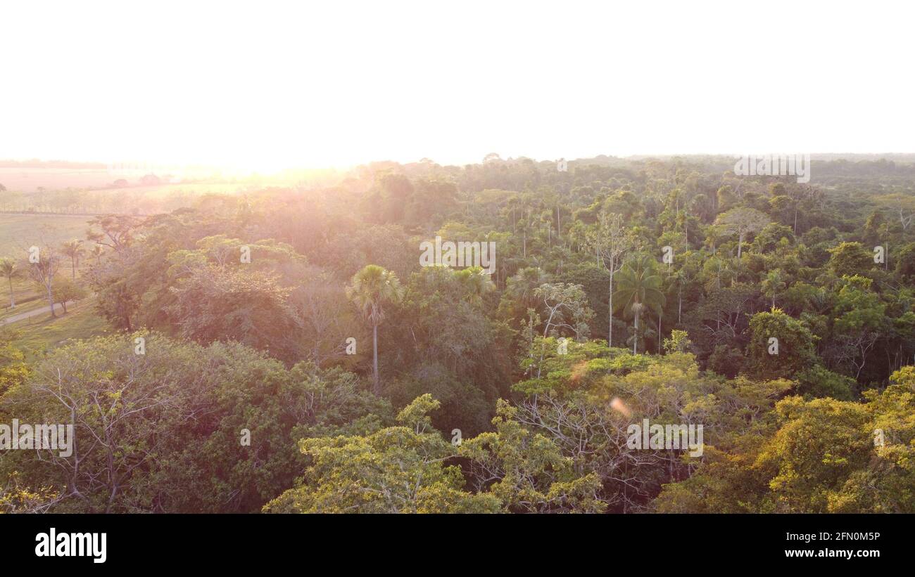 Sunrise over a garden hi-res stock photography and images - Alamy