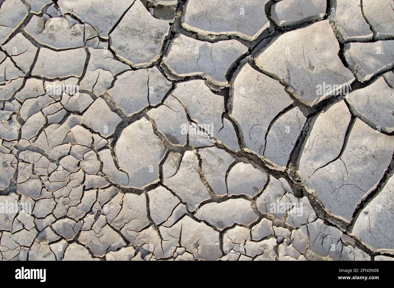Cracks in Mud Stock Photo