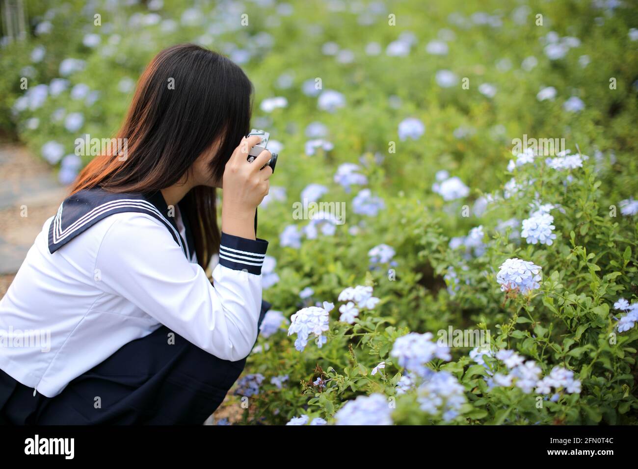 Asian school girl with camera taking photo a flowers in garden Stock Photo