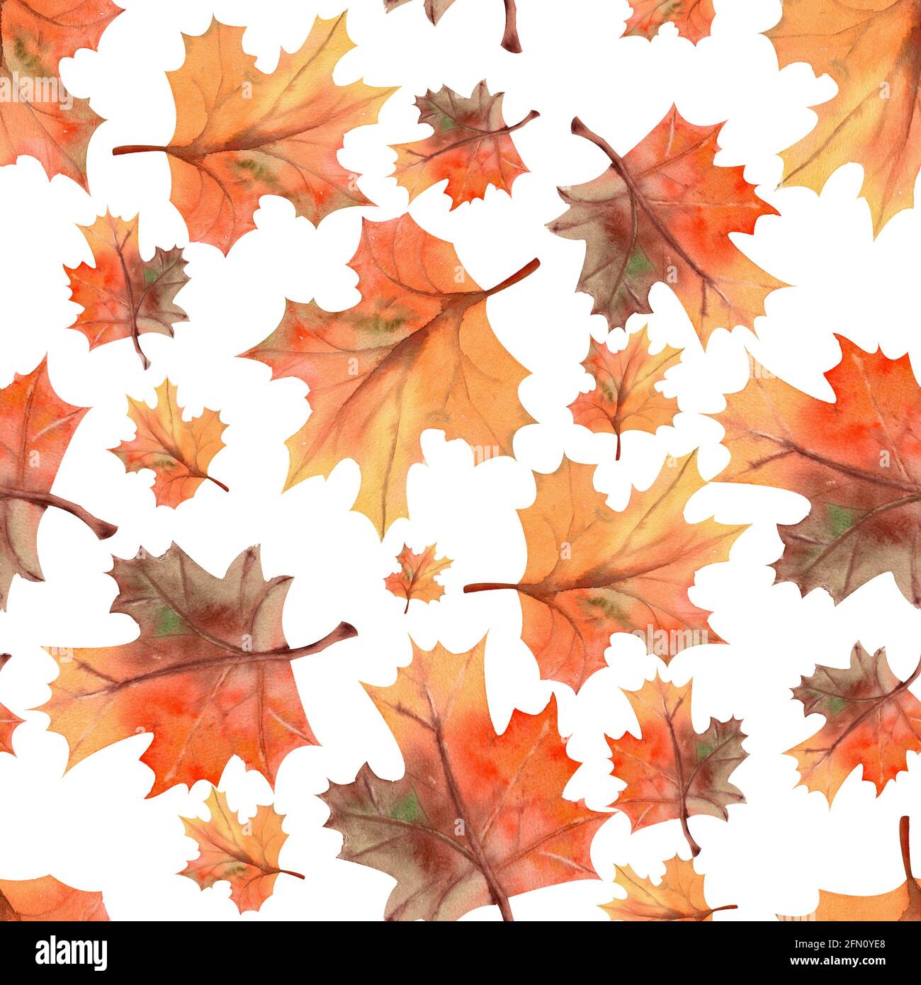 Seamless autumn leaves background, berries on white isolated background ...